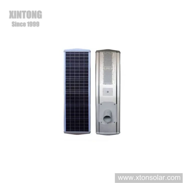 All In One Solar Landscape Light With Motion Sensor
